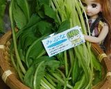 リカちゃん♡みぶなの浅漬け風サラダꕤ*｡作り方1写真