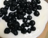 野生種ブルーベリー＆はちみつヨーグルト作り方1写真