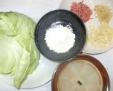 バイオリンクでお好み焼き♪簡単大人用作り方1写真