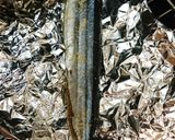 秋刀魚deトマト煮カフェ飯風作り方2写真