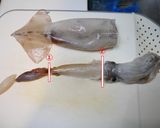 意外と簡単で美味しい、イカの塩辛。作り方3写真