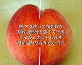 桃に負担かけず簡単なカットの仕方作り方1写真