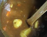 とけないじゃがいもカレー作り方2写真