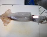 美味しい。茹でイカの生姜とマヨネーズ和え作り方1写真