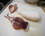 美味しい。茹でイカの生姜とマヨネーズ和え作り方7写真