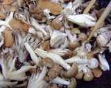 茸風味のパスタ。作り方6写真
