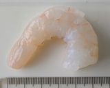 揚げずに簡単！ブロッコリー入りエビマヨ作り方11写真