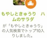 もやしときゅうり ハムのサラダ作り方5写真