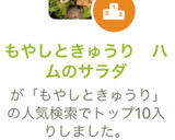 もやしときゅうり　ハムのサラダ作り方5写真
