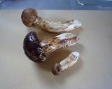 ☆我が家の松茸ご飯☆作り方2写真