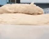 スピード湯種で翌日もふわふわのパン作り方9写真