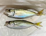 鯵の南蛮漬け作り方1写真