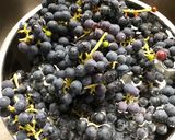 Grape Jello ぶどうゼリー♪作り方1写真
