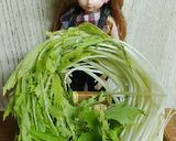 リカちゃん♡水菜と椎茸のサラダ｡:✤*゜作り方1写真