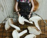 リカちゃん♡水菜と椎茸のサラダ｡:✤*゜作り方4写真