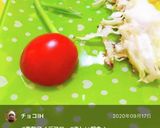 ミニトマトと青ネギで音符♪作り方7写真