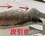 鯵の三枚おろし　フライまで作り方5写真
