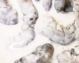 強炭酸水DEえびのフリッター作り方4写真