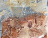 鶏胸肉で、柔らか和風唐揚げ♪作り方2写真