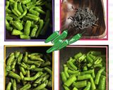 獅子唐辛子(シシトウ)の塩こんぶナムル作り方2写真