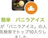 簡単　バニラアイス作り方8写真