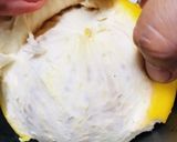 簡単 グレープフルーツ 剥き方 包丁不要作り方5写真