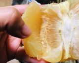 簡単 グレープフルーツ 剥き方 包丁不要作り方8写真