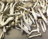絶品☆ネギが美味しいキノコのつけ汁♡作り方3写真
