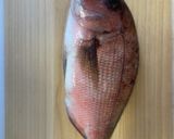鯛を丸々使った簡単鯛めし作り方1写真