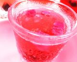 ジップロックでベリー酢作り方4写真