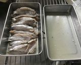 塩っぱくない酸っぱくない 酢漬け鰯作り方16写真