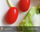 ミニトマトと青ネギで音符♪作り方12写真