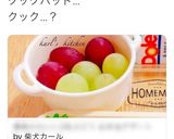 お弁当盛り付け覚書簡単かわいい2色ぶどう作り方5写真