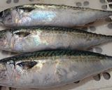 田舎風さばの味噌煮作り方1写真