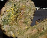 青汁グリーンハンバーグ作り方5写真