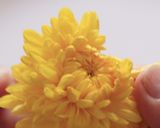 緑竹筍ざんまい♪(３種類)作り方5写真