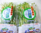 簡単♪豆苗とちくわのオイスターソース炒め作り方1写真