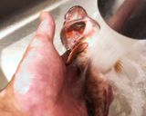 ガシラの唐揚げ（カサゴの唐揚）作り方3写真