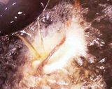 ガシラの唐揚げ（カサゴの唐揚）作り方16写真