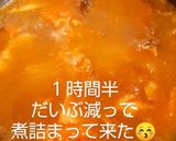 おうちカレーと思いきや実はスパイスカレー作り方11写真