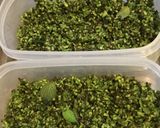 あと引く！しその実の特製醤油ダレ漬け作り方1写真