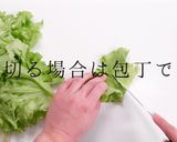 意外と知らないサラダの基本を科学の視点で作り方13写真