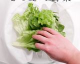 意外と知らないサラダの基本を科学の視点で作り方9写真