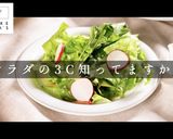 意外と知らないサラダの基本を科学の視点で作り方1写真