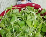 リカちゃん♡ぬき菜ポン酢 ドレ サラダ❁作り方1写真