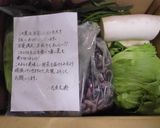 大根とフジッコのサラダ作り方3写真