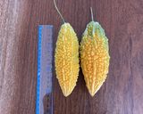 完熟ゴーヤソフトクッキー作り方1写真