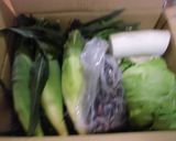 花豆の甘煮作り方7写真