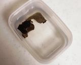 本格的!チャルメラちゃんぽん作り方3写真