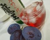 ねっとり濃厚ドライプルーン作り方10写真